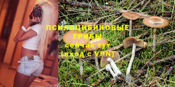 ГАЛЛЮЦИНОГЕННЫЕ ГРИБЫ Арсеньев