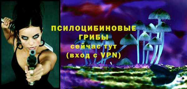 ГАЛЛЮЦИНОГЕННЫЕ ГРИБЫ Арсеньев