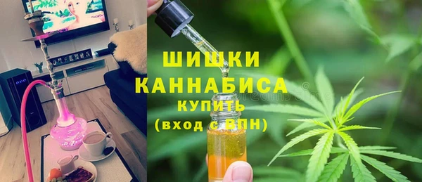 ГАЛЛЮЦИНОГЕННЫЕ ГРИБЫ Арсеньев